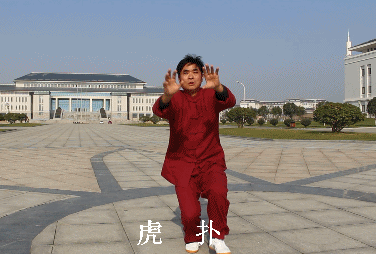 五形1.虎扑.gif