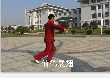 大成拳五形动功