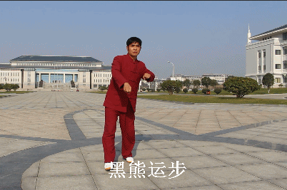 五形3.黑熊运步.gif