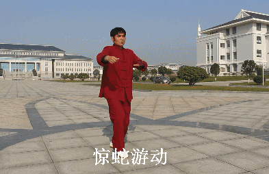 五形5.惊蛇游动.gif