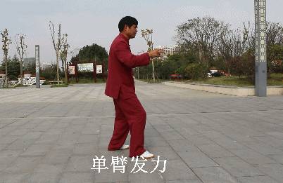 单臂发力.gif